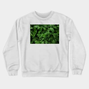 Aestthetic leaves Crewneck Sweatshirt